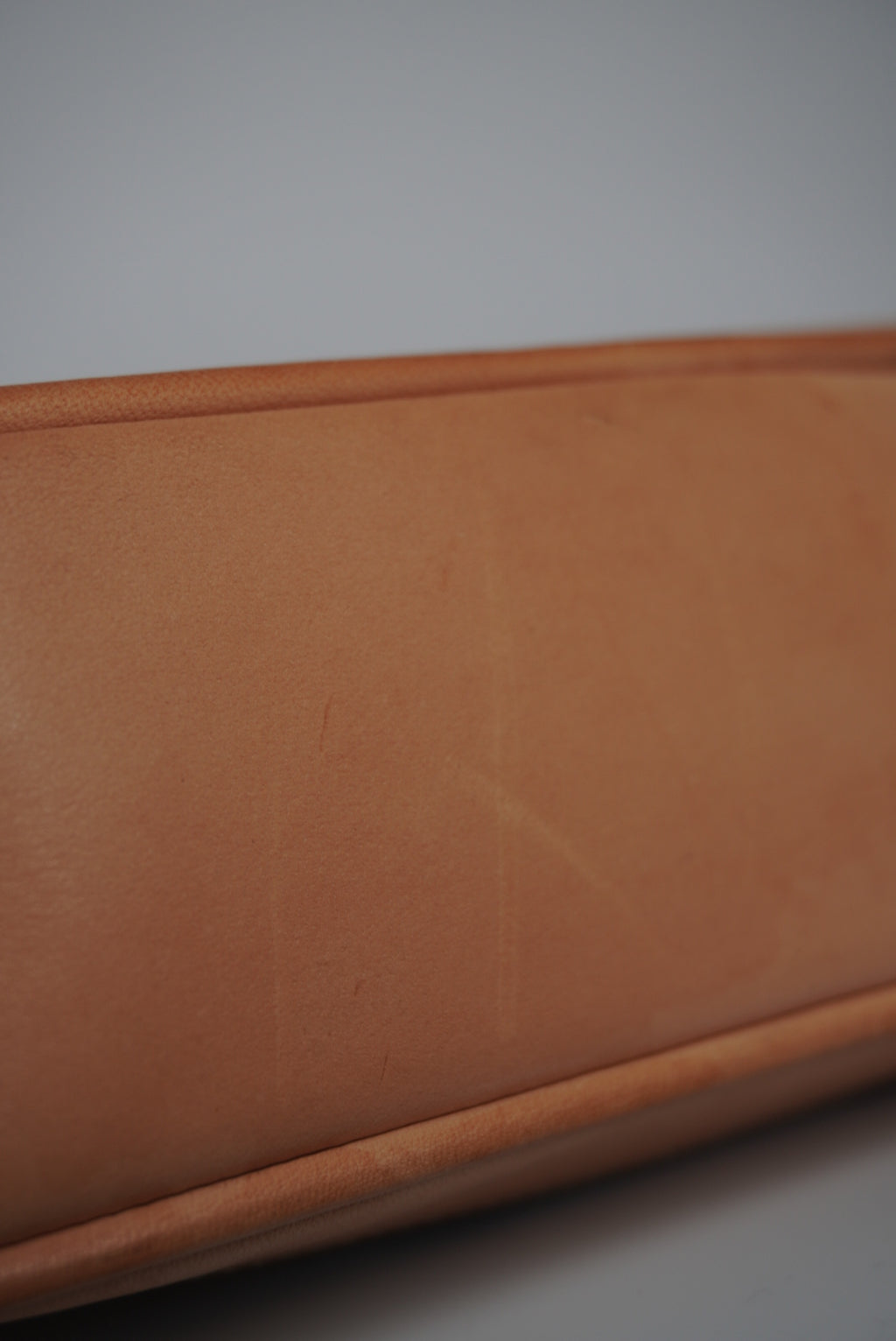 COACH Signature Demi Bag