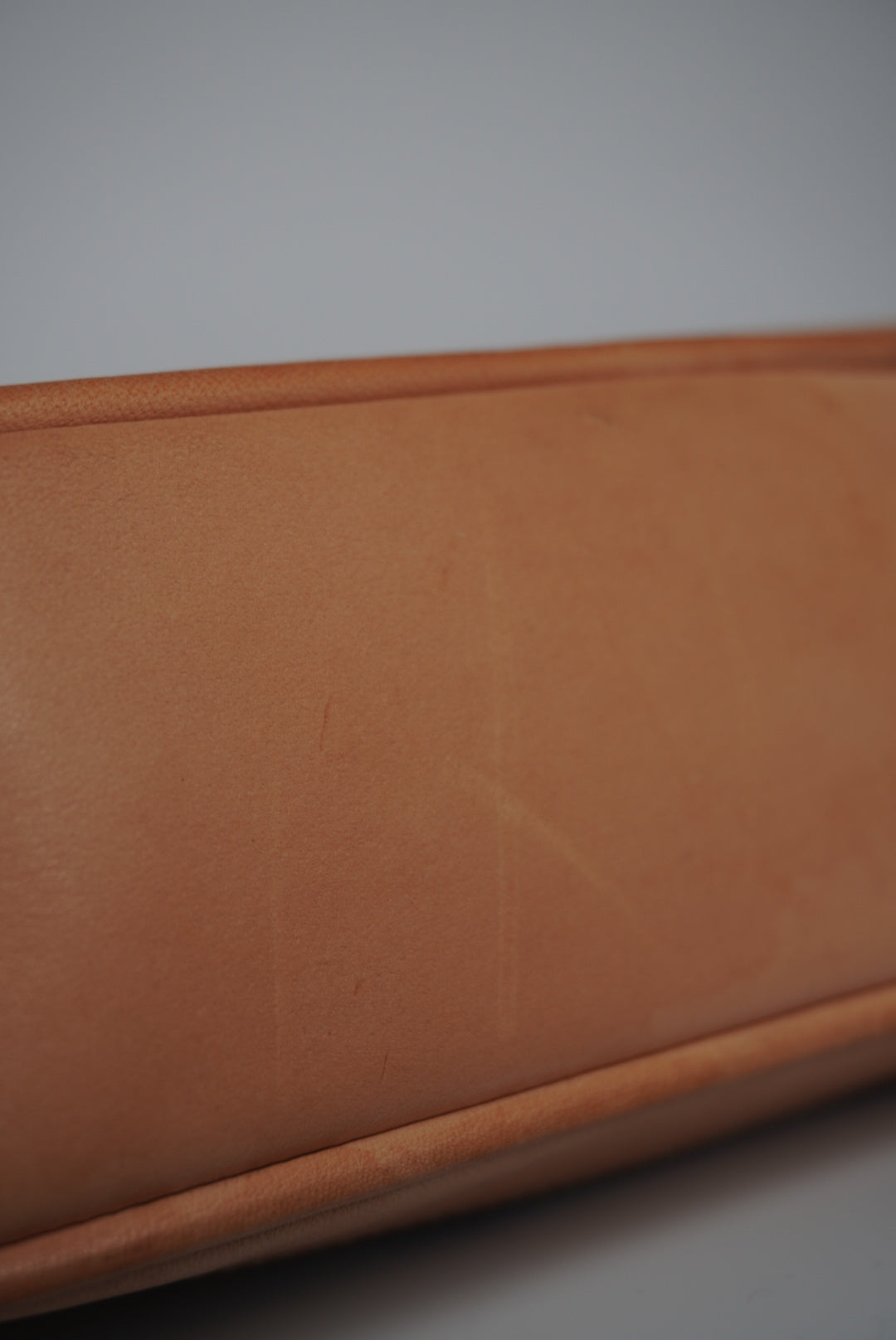 COACH Signature Demi Bag