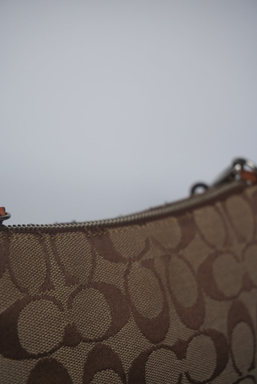 COACH Signature Demi Bag
