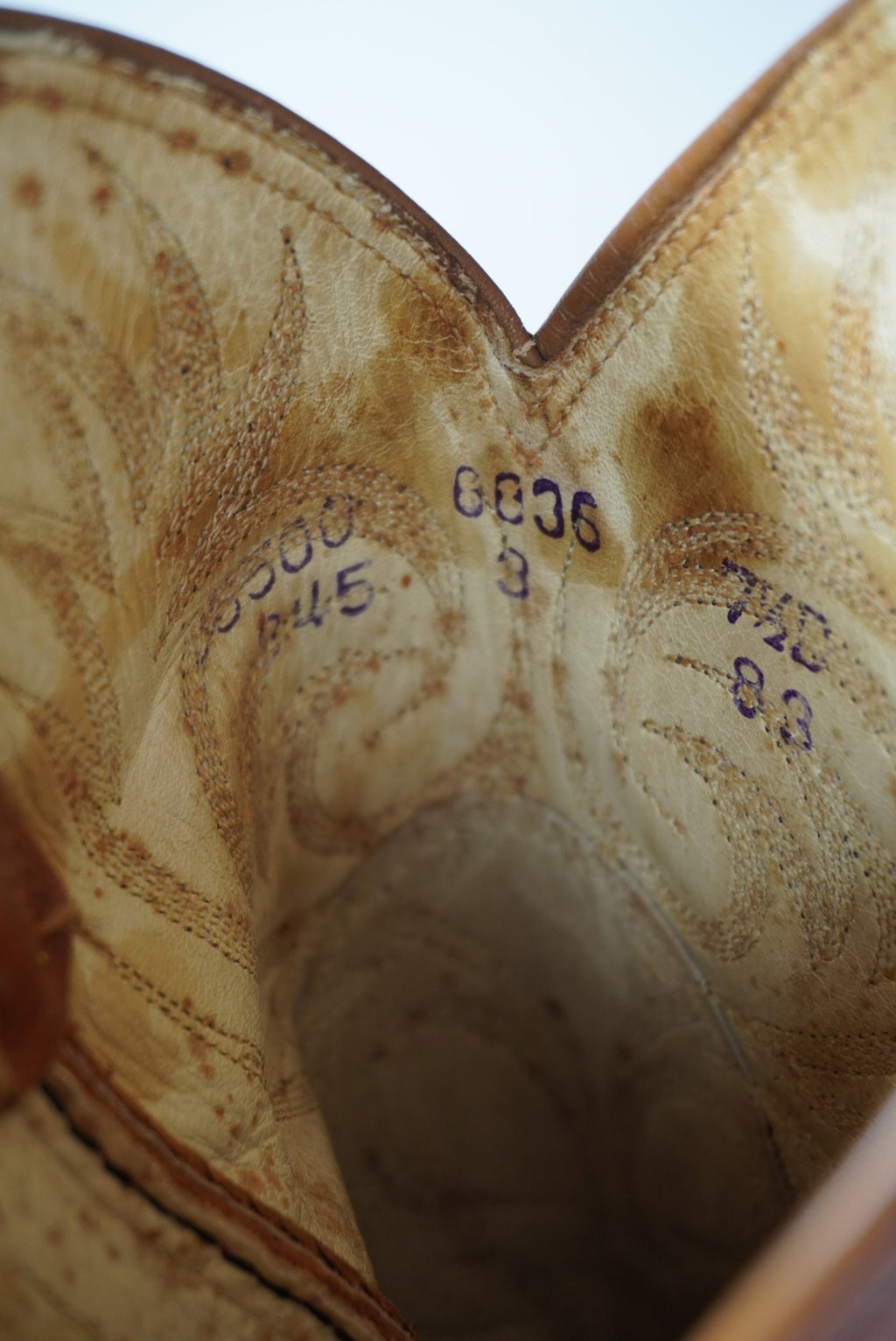 Dan Post Exotic Lizard Cowboy Boots