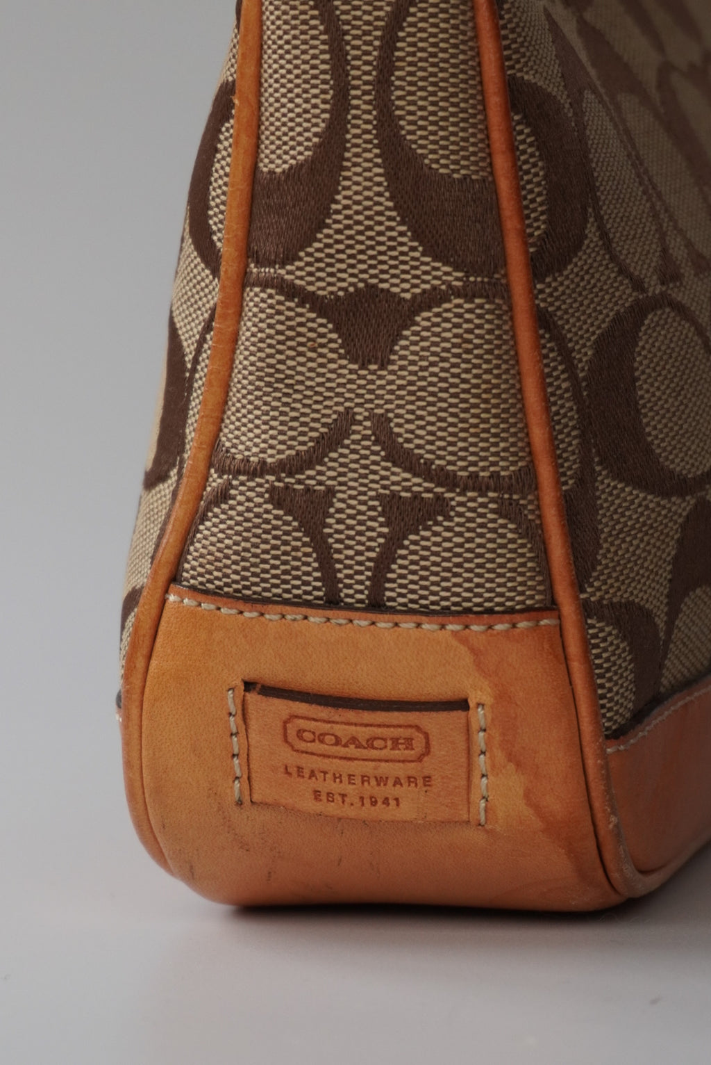 COACH Signature Demi Bag