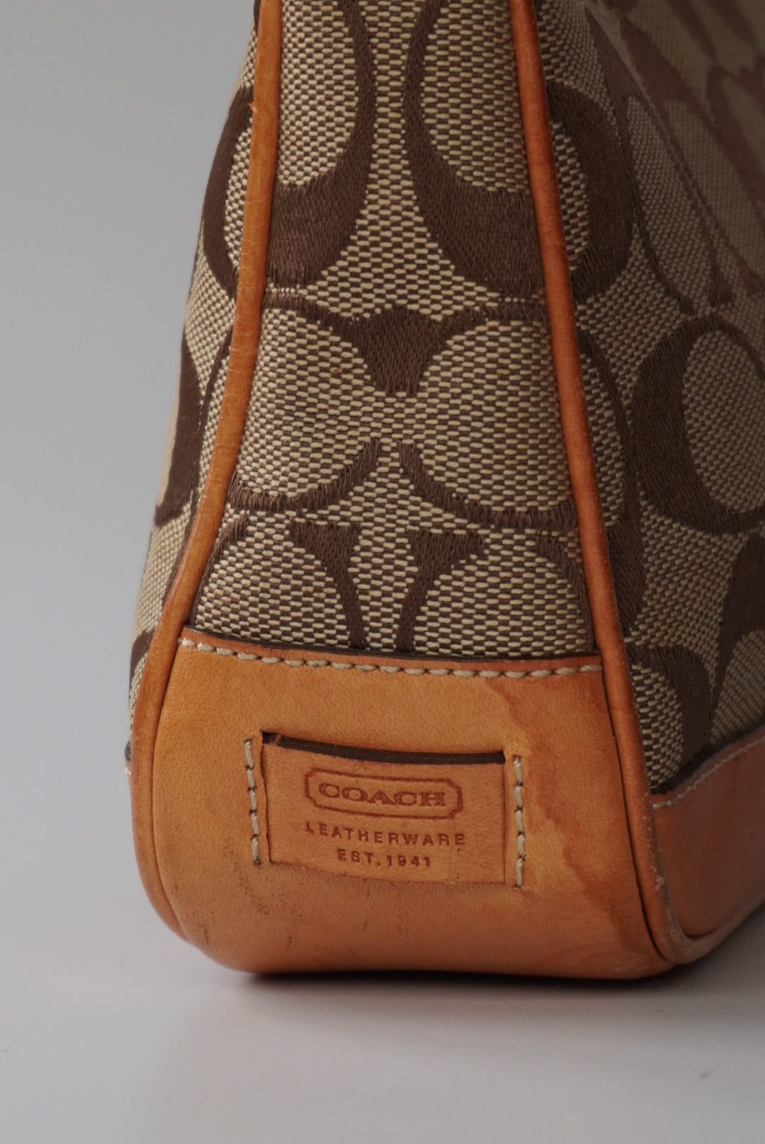 COACH Signature Demi Bag