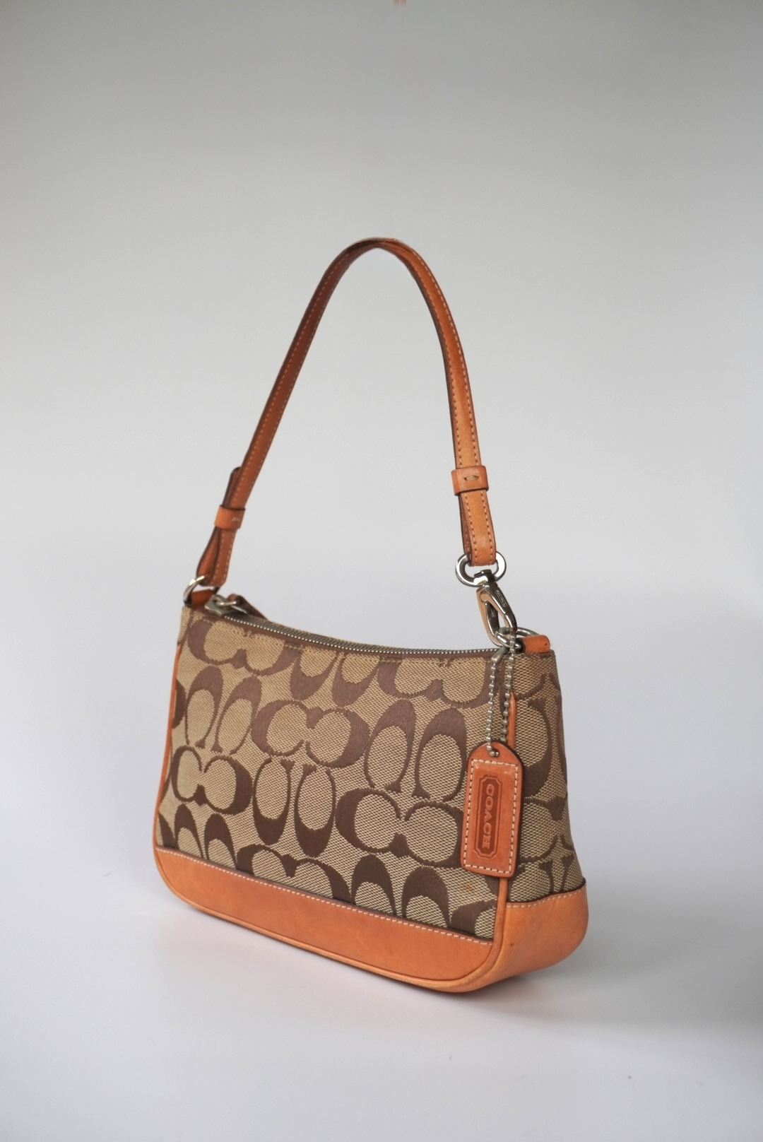 COACH Signature Demi Bag