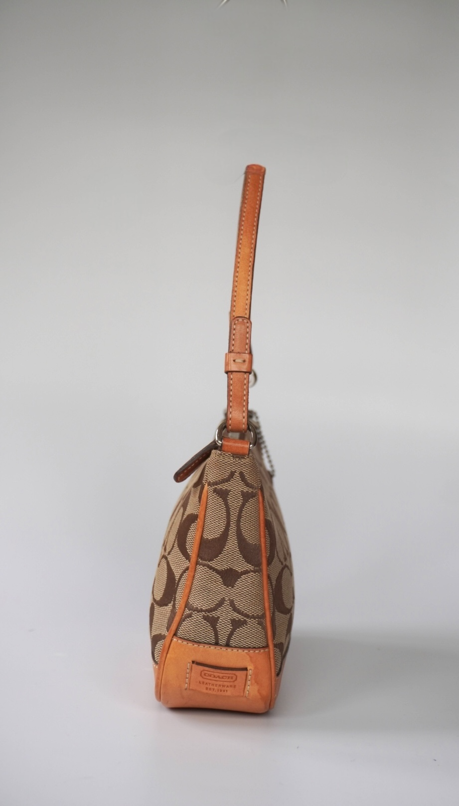 COACH Signature Demi Bag