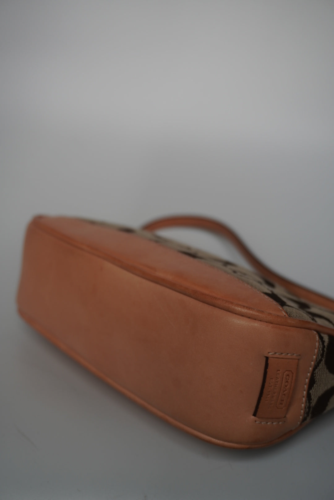 COACH Signature Demi Bag