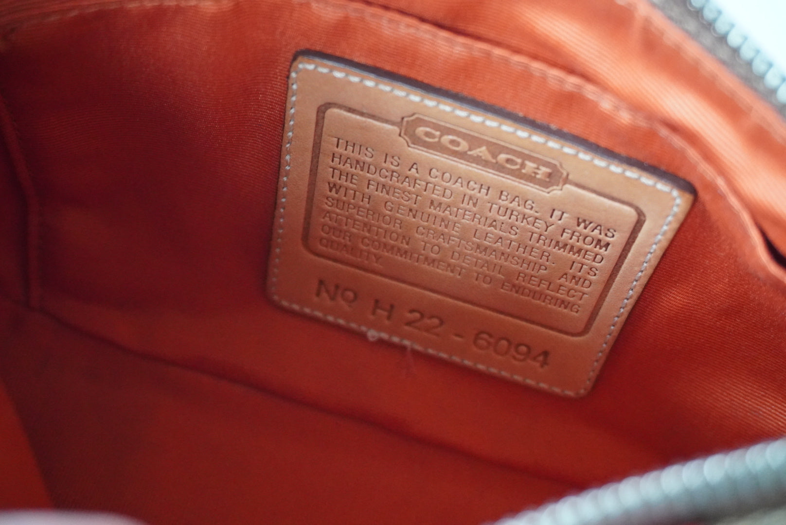 COACH Signature Demi Bag