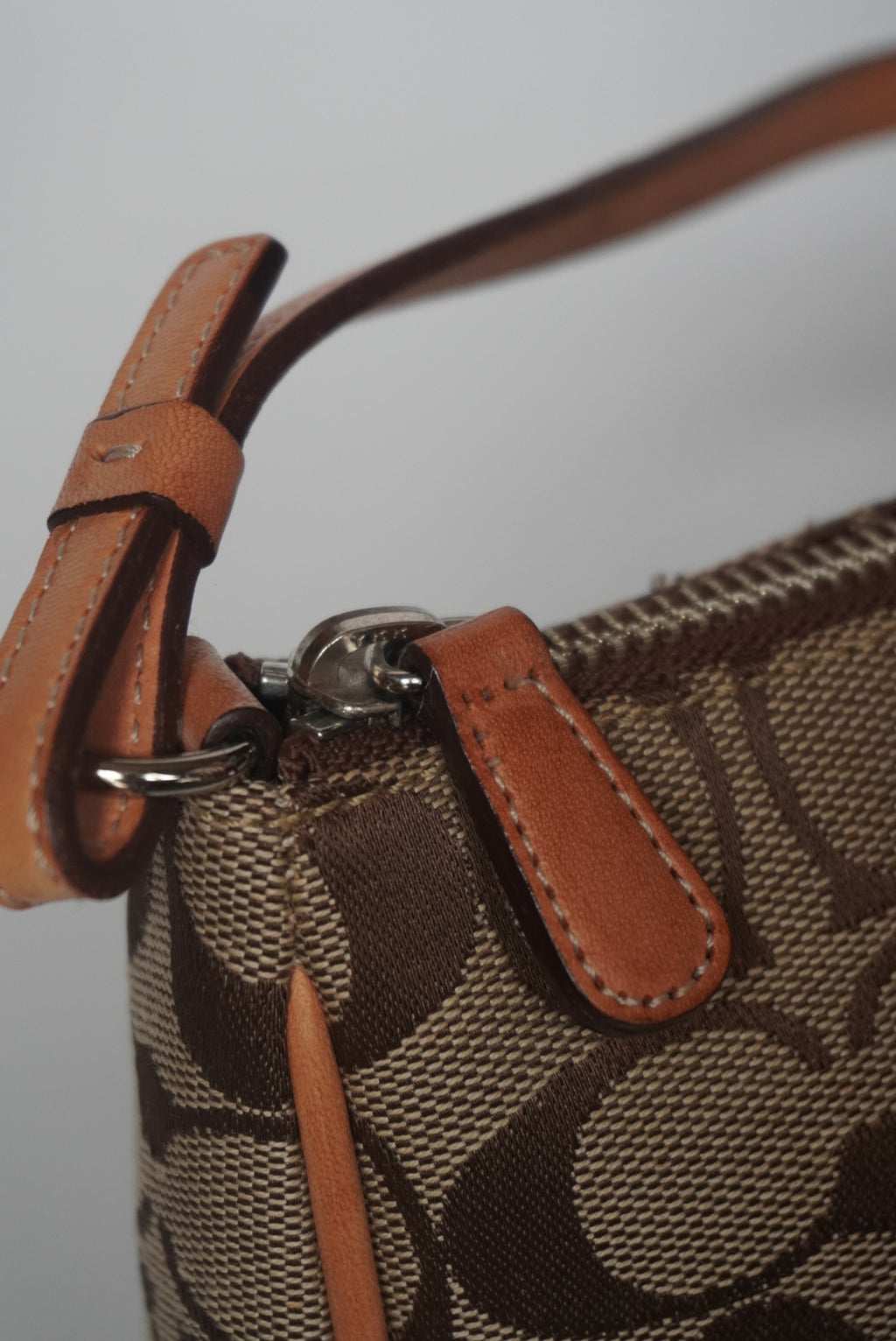COACH Signature Demi Bag
