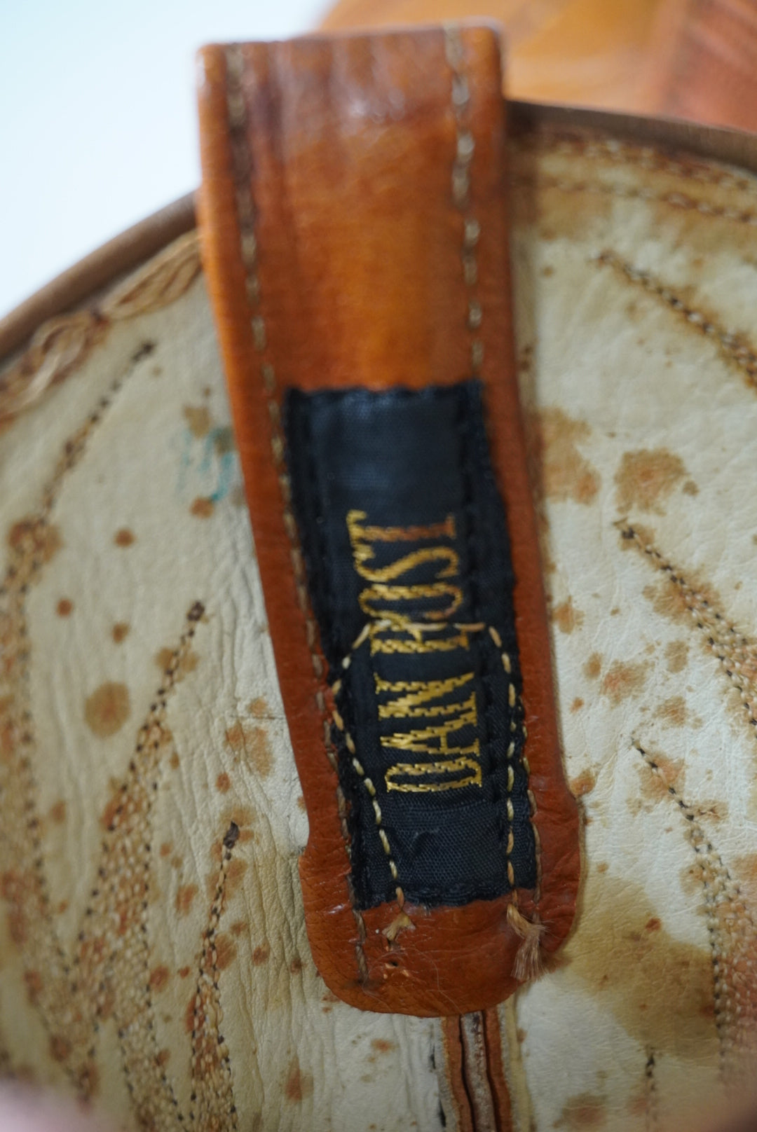 Dan Post Exotic Lizard Cowboy Boots