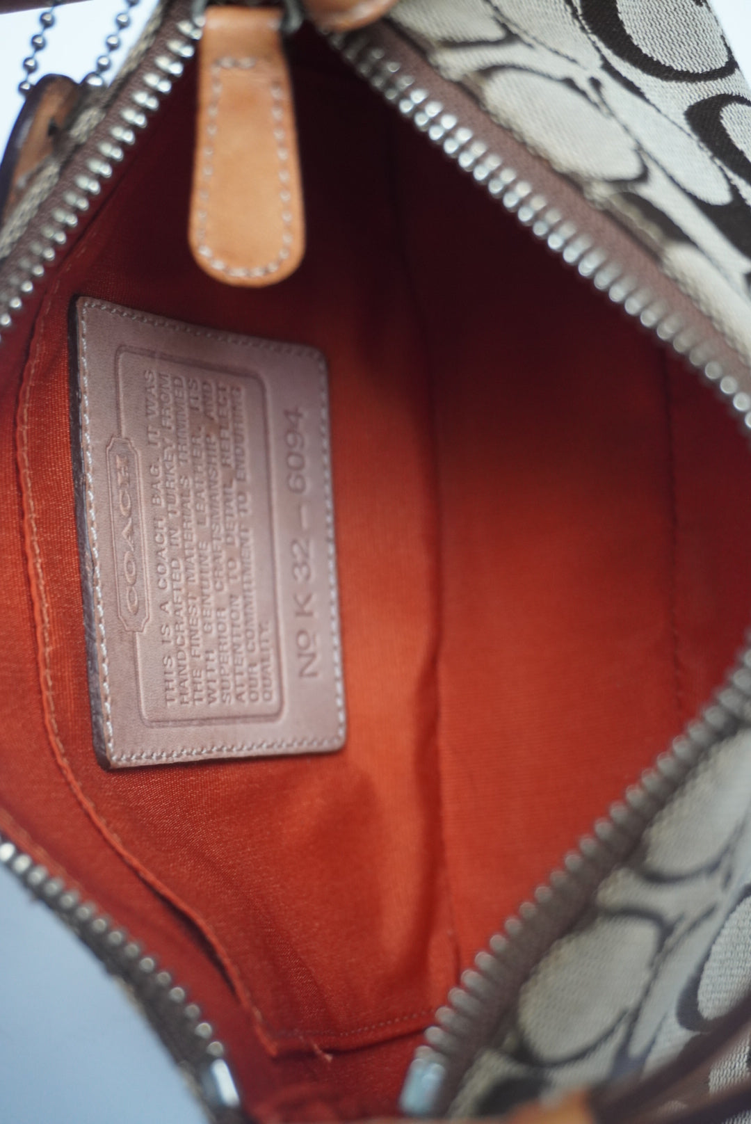 COACH Signature Demi Bag