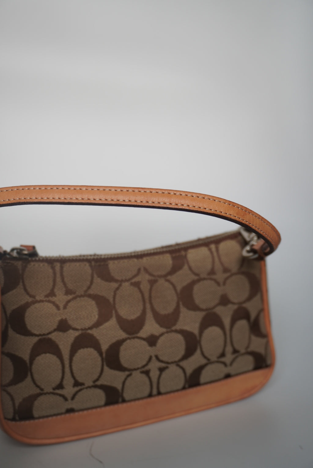 COACH Signature Demi Bag