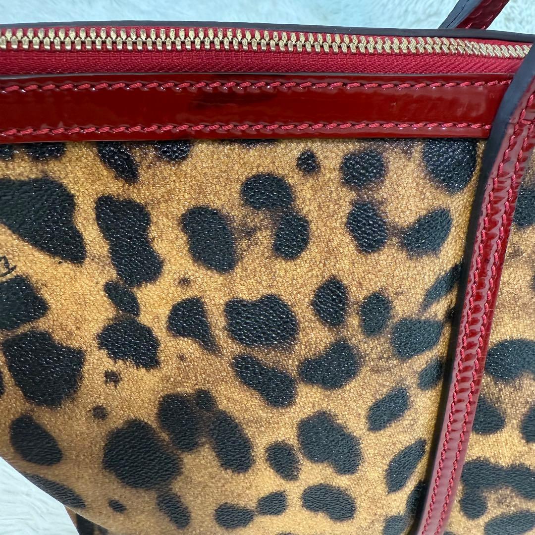 Dolce & Gabbana Leopard Tote