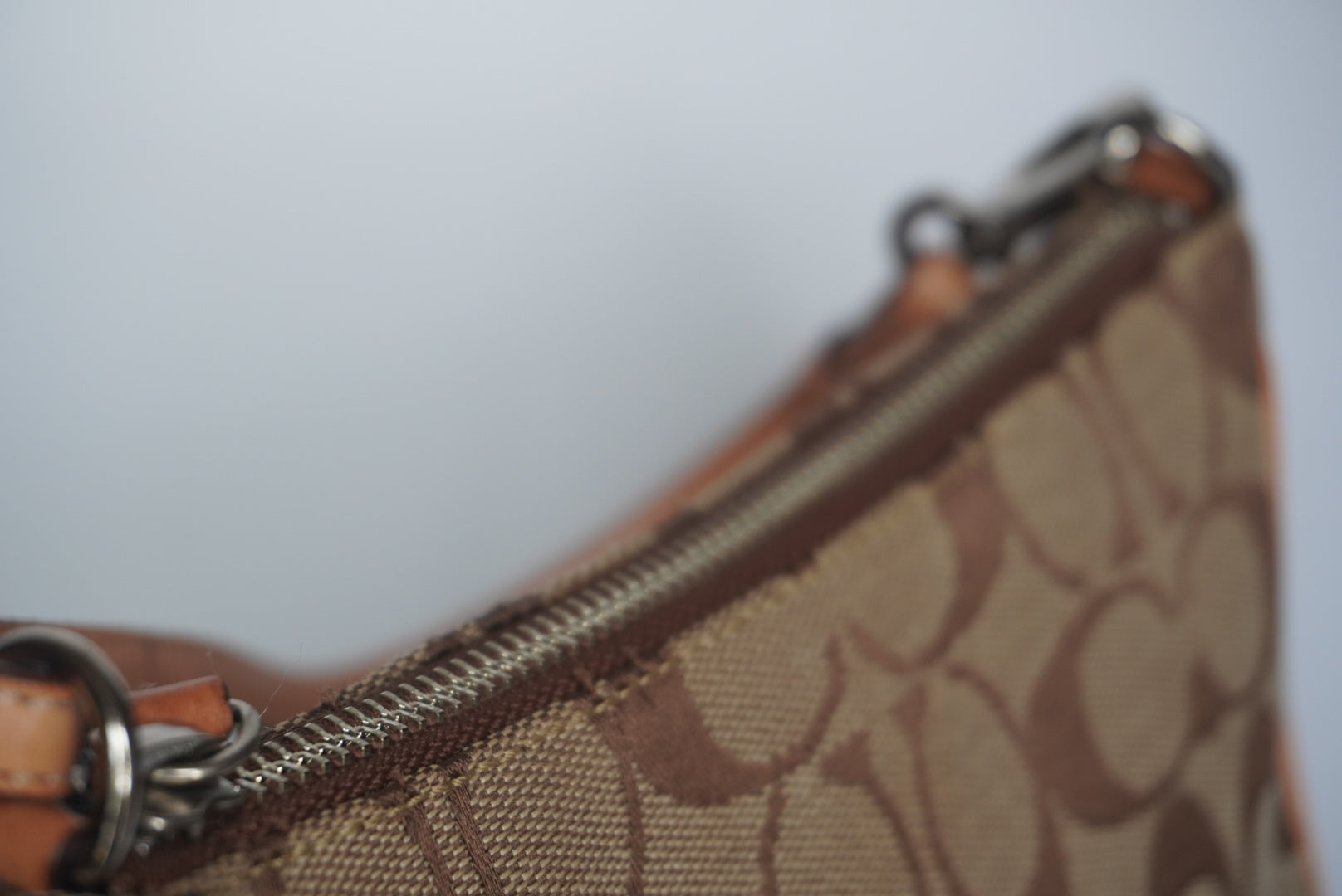 COACH Signature Demi Bag