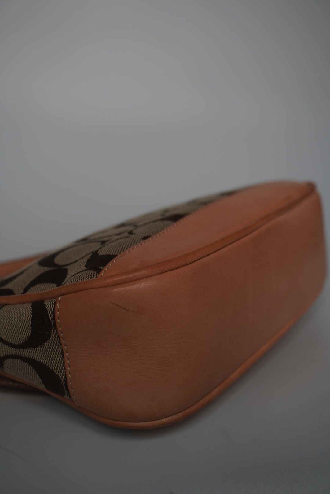 COACH Signature Demi Bag