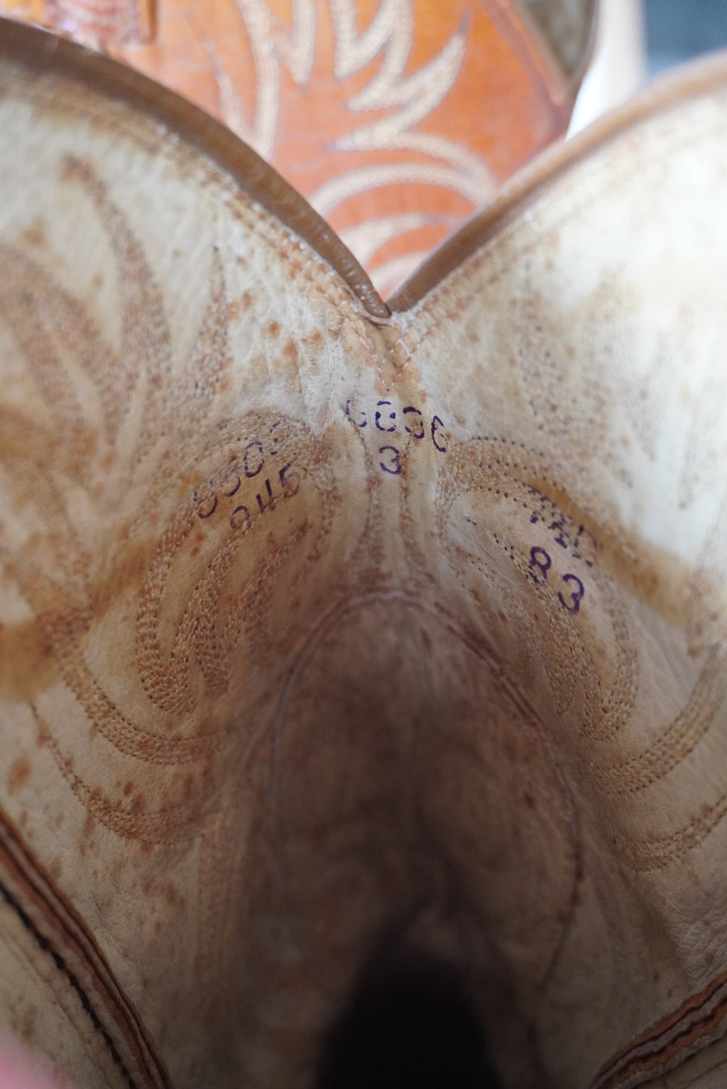 Dan Post Exotic Lizard Cowboy Boots