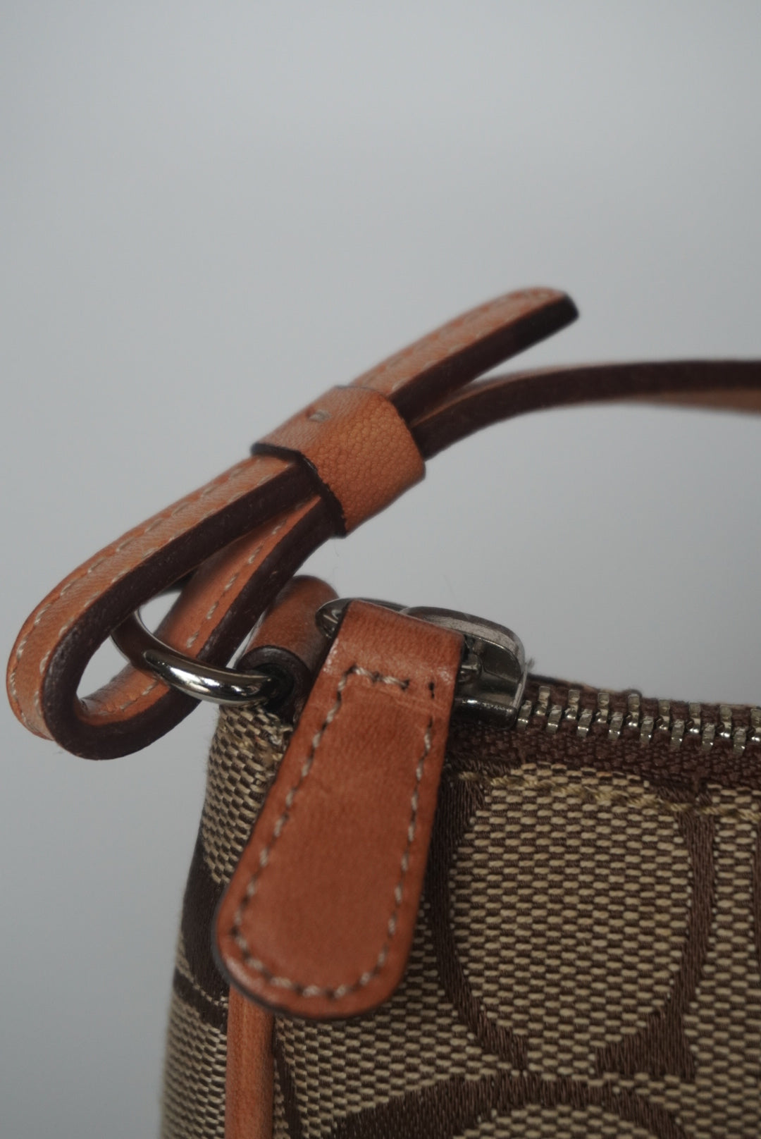 COACH Signature Demi Bag