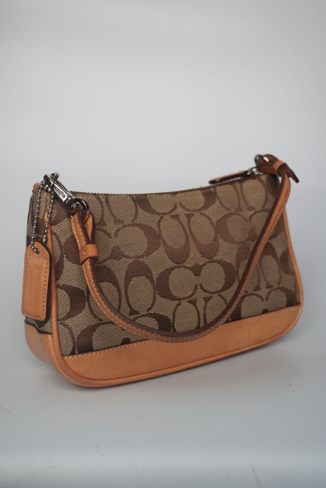 COACH Signature Demi Bag