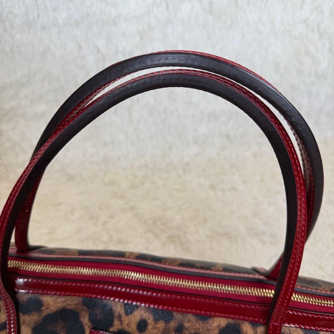 Dolce & Gabbana Leopard Tote